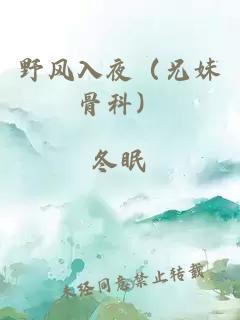 野风入夜（兄妹骨科）